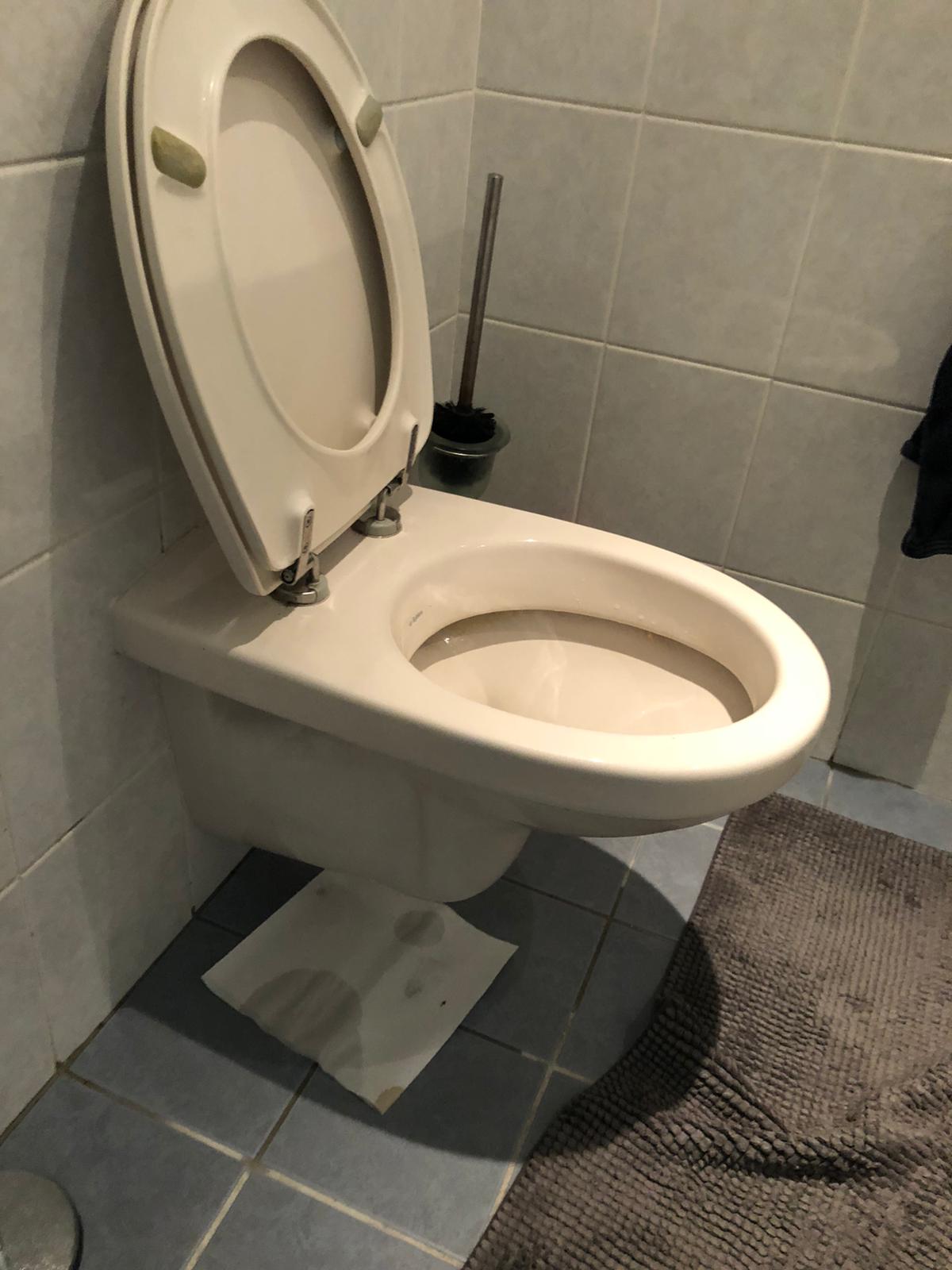 hangtoilet Koog aan de Zaan